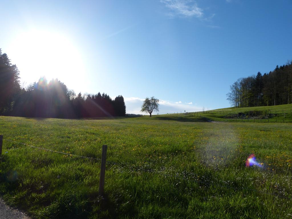 Landgasthof Santisblick Hotel Abtwil Esterno foto